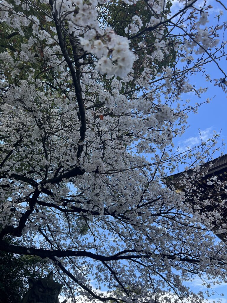 画像に alt 属性が指定されていません。ファイル名: img_6848-768x1024.jpg